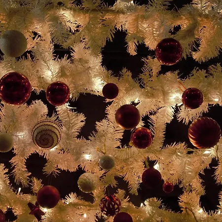 Charming Shared Rooftop Terrace Jacuzzi 360 View Mk2